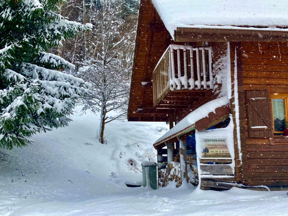 Chalet Des Feignes ラ・ブレス エクステリア 写真
