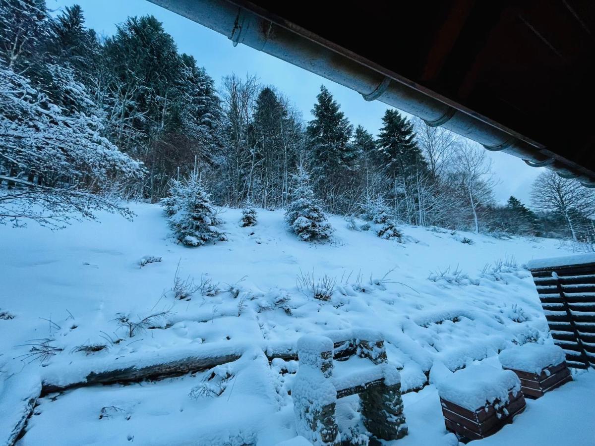 Chalet Des Feignes ラ・ブレス エクステリア 写真